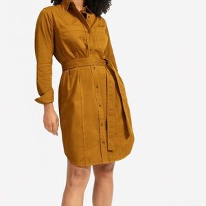 Everlane Modern Utility Shirtdress, Brass